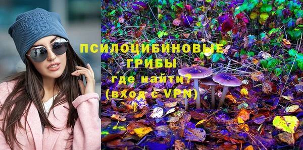дмт Богданович