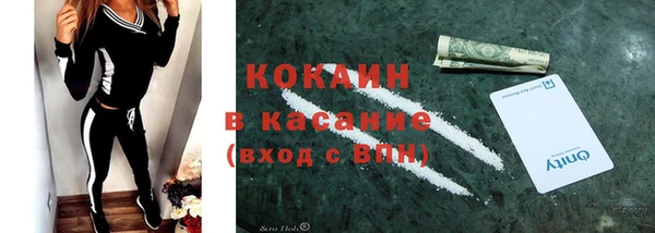 дмт Богданович