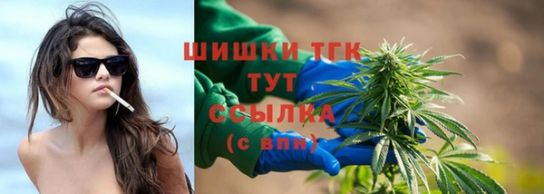 прущий лед Богородицк