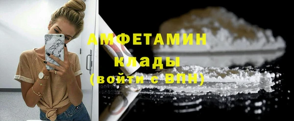 дмт Богданович