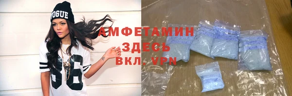 дмт Богданович