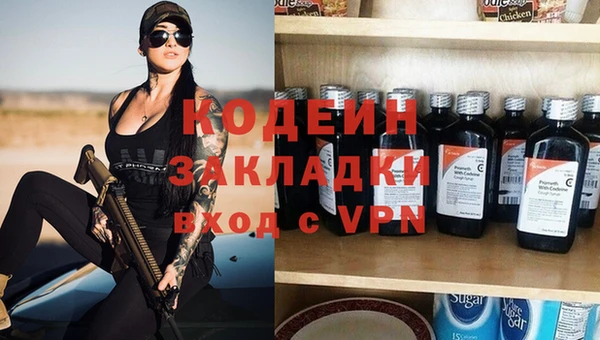 дмт Богданович