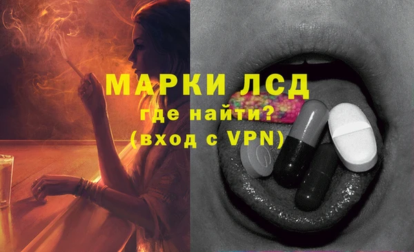 дмт Богданович