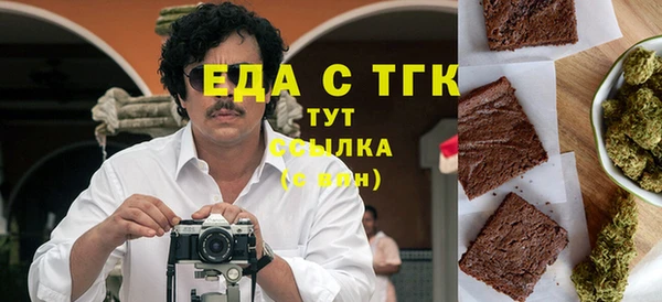 дживик Бородино