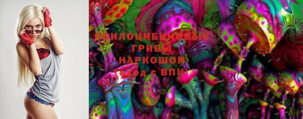 дмт Богданович